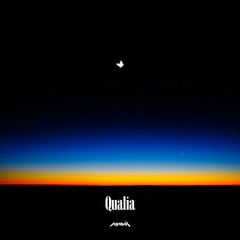 qualia.jpg